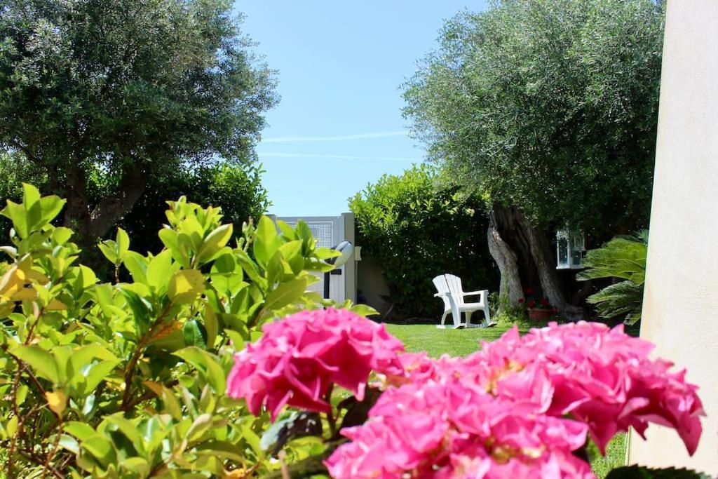 Villa Marea - Relax & Pool Polignano a Mare Exterior foto